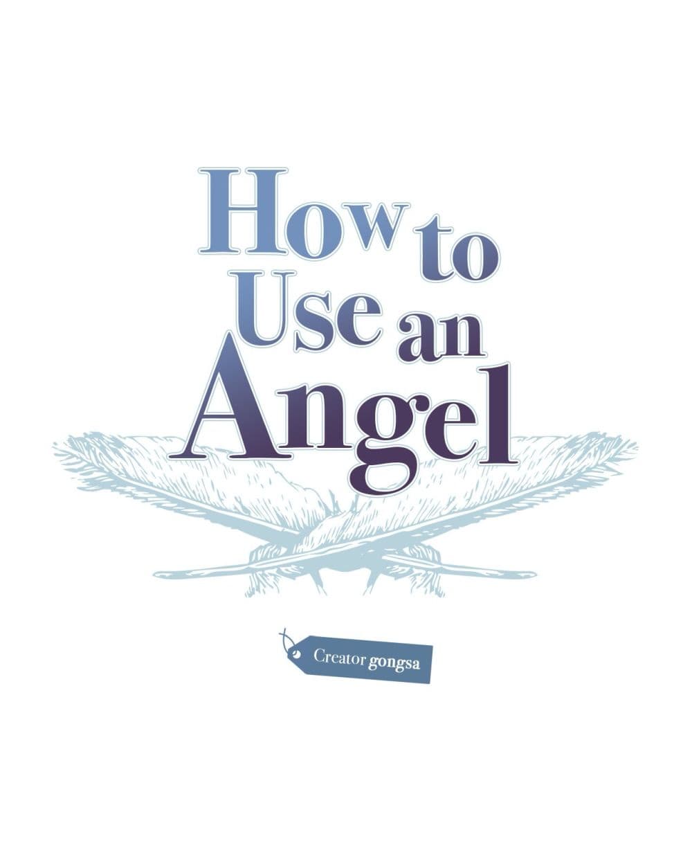 How to Use an Angel 13 02